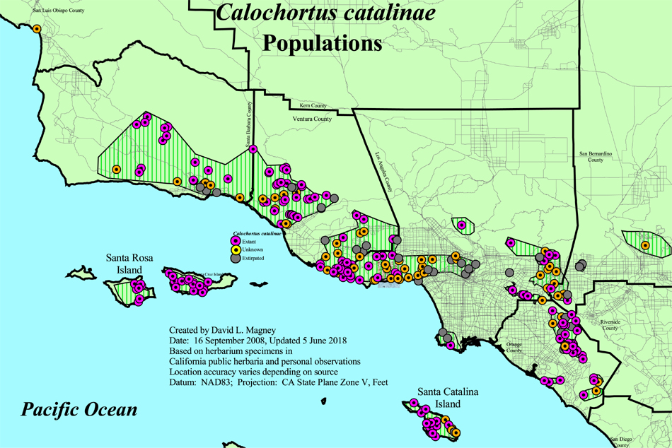 Distribution Map of Calochortus catalinae